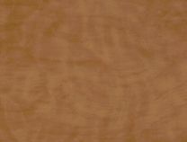 Avalon Burl