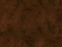 Oxford Burl