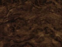 Bronze Burl