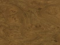 Honey Burl